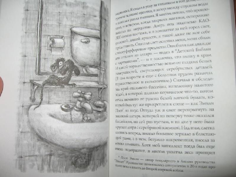Фирмин. Из жизни городских низов