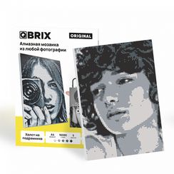 QBRIX Aлмазная Фото-мозаика на подрамнике ORIGINAL А4