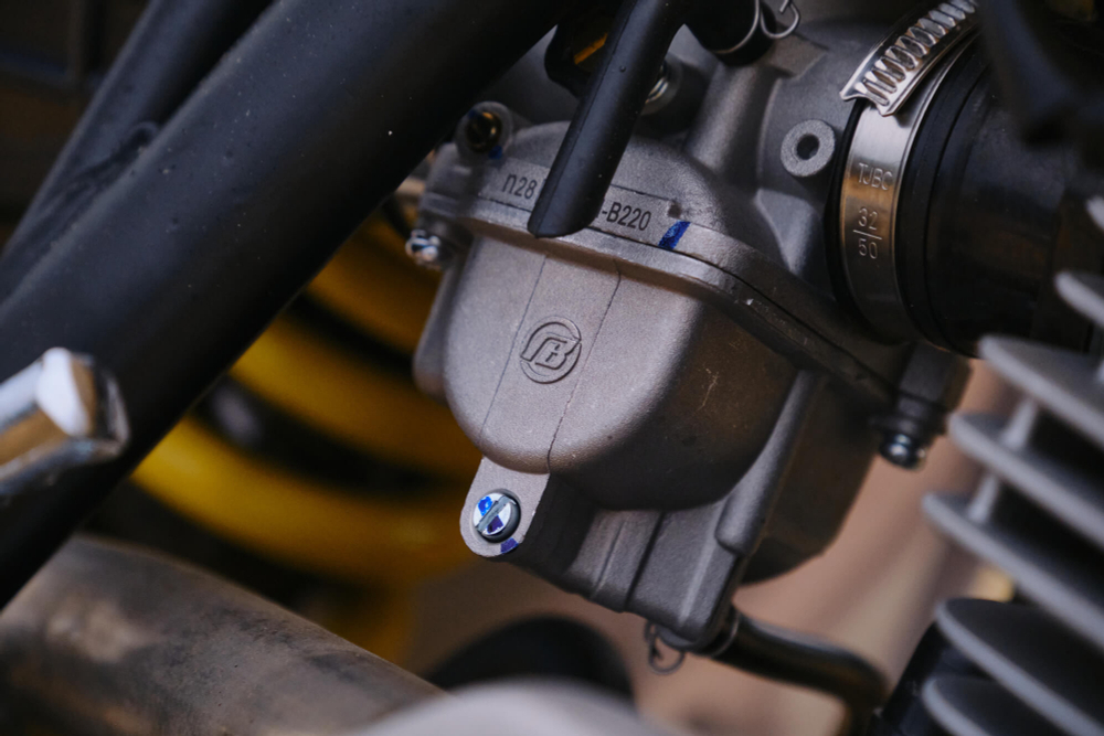 Z2 L Apex