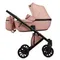 Коляска ANEX e/type 2 в 1 (CrN-12) peach