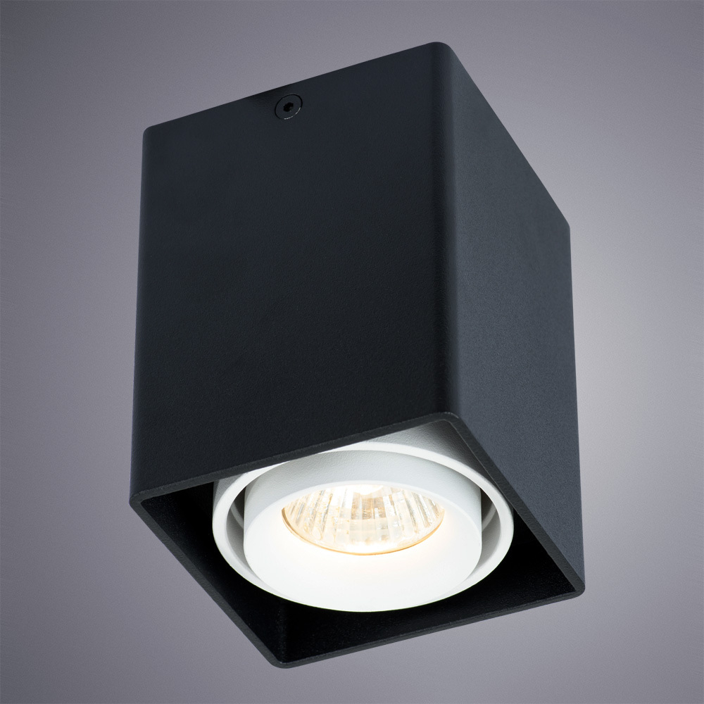 Светильник потолочный Arte Lamp Pictor A5655PL-1BK