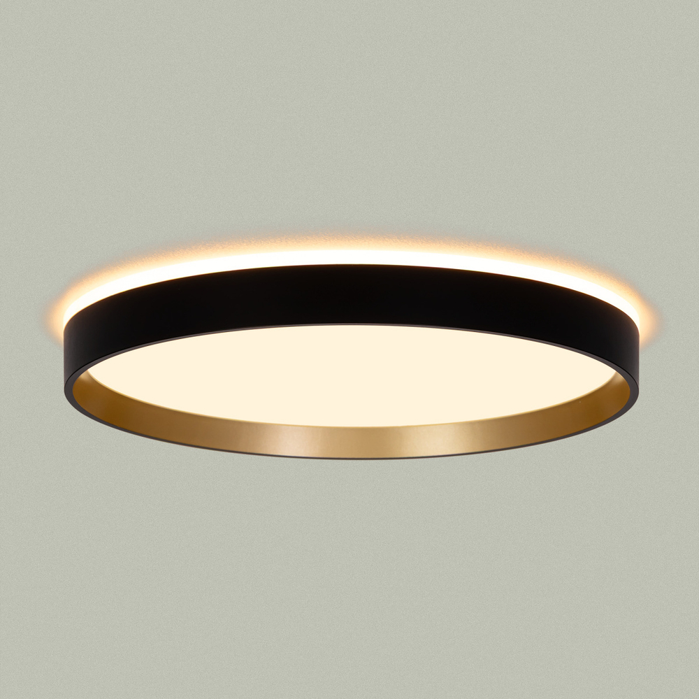 Потолочный светодиодный светильник Citilux Etalon CL750321R