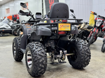 Квадроцикл PROMAX ATV 250 MAX (2025)
