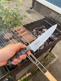 🏆Кухонный нож Alexander M PRO N690 Camo G10