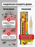 Дохлокс Сгинь №76 Борный гель от тараканов 30 гр (шприц)
