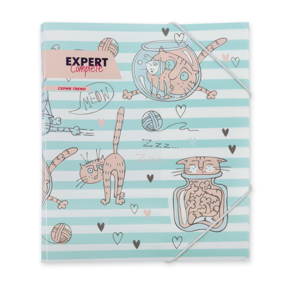 Папка на резинке A5 ECRF-05 450 мкм 25 мм, песок, 6 шт, №02-Кот, Expert Complete ECRF-05 Папка на резинке A5 ECRF-05 450 мкм 25 мм, песок, 6 шт, №02-Кот, Expert Complete ECRF-05