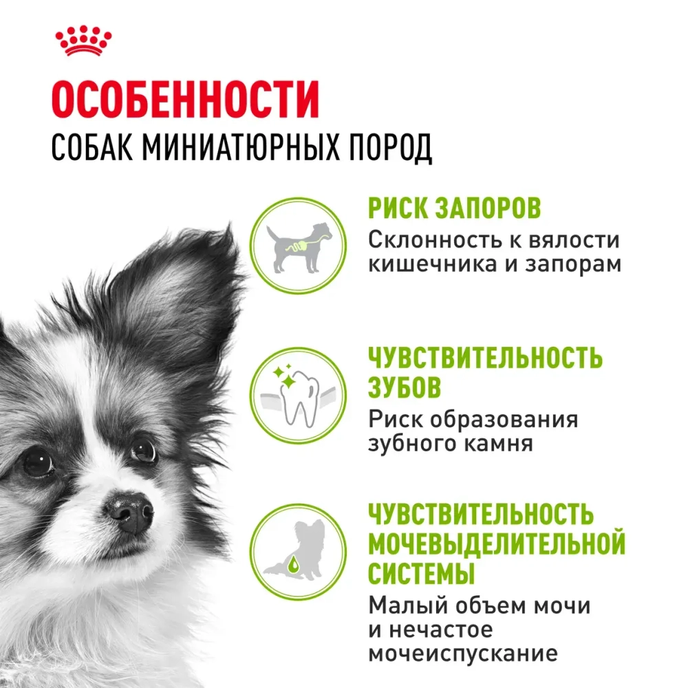 Корм Royal Canin X-Small Adult для собак миниатюрных размеров от 10 месяцев до 8 лет 0.5кг