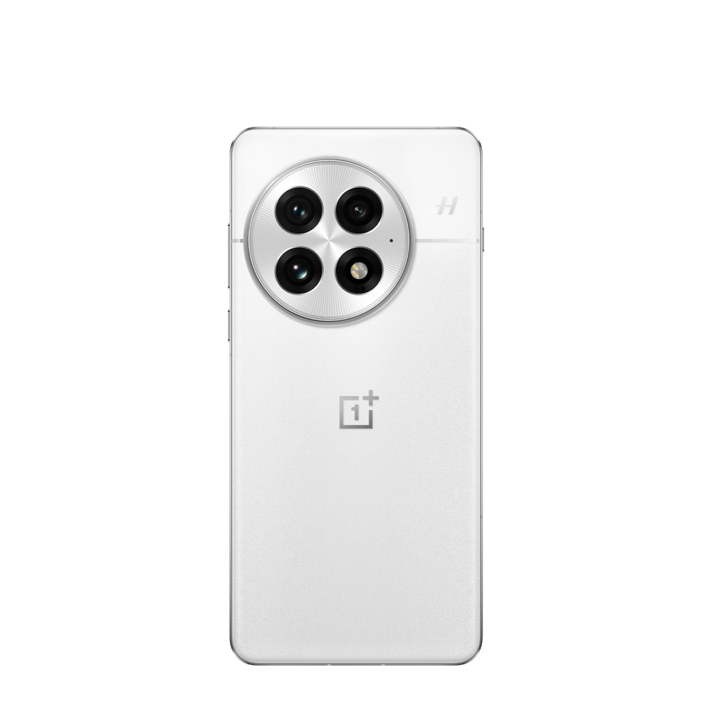 OnePlus 13 16/512Gb Arctic Dawn