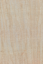 Arte Amazone 2 Pristine – 23522