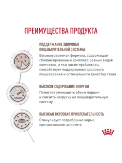 Gastrointestinal Корм для кошек 2кг
