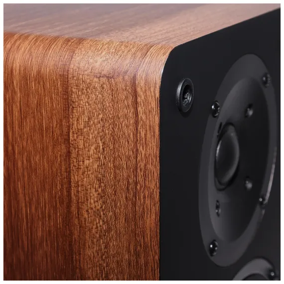 Radiotehnika S-20N Walnut