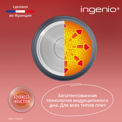 Набор посуды со съемной ручкой Tefal Ingenio Natural Force 7 предметов 16/24/24 см L3969172