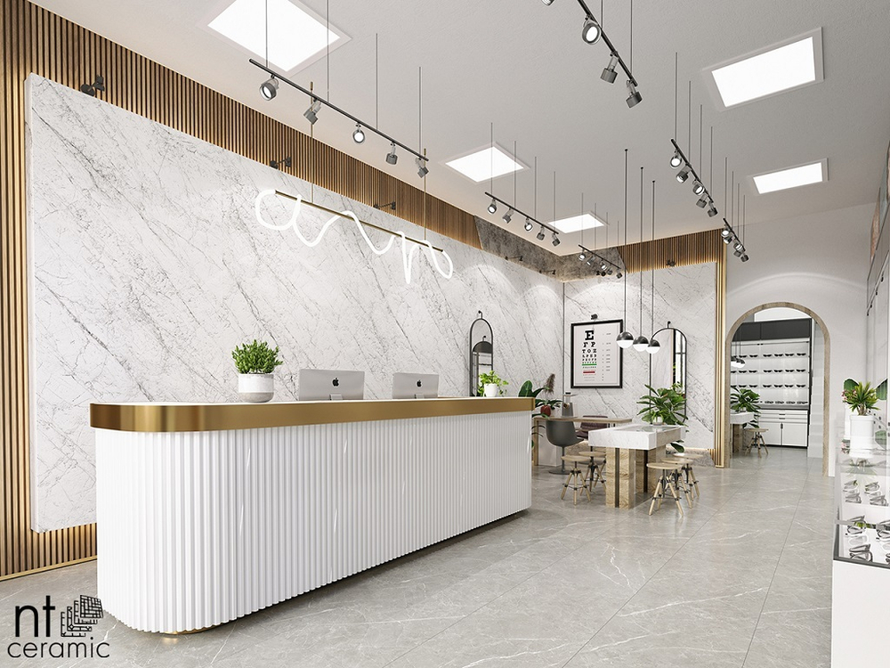 NT Ceramic Atlas Home Carrara Elite 120x280