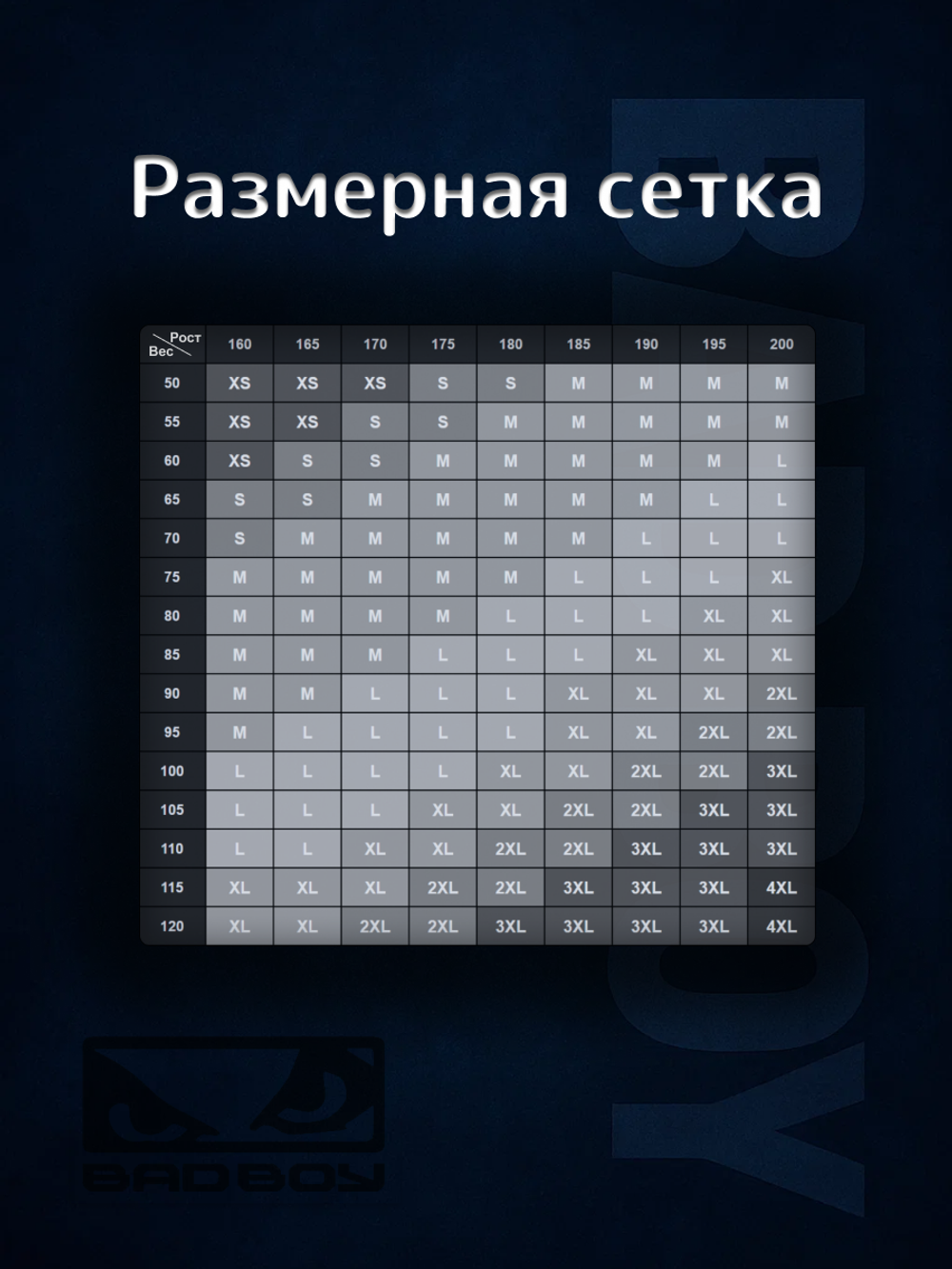 Футболка Bad Boy WorldWide 2.0 черная