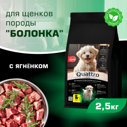 Корм сухой для щенков породы Болонка, премиум полнорационный комплекс, с ягненком, 2,5 кг, QUATTRO