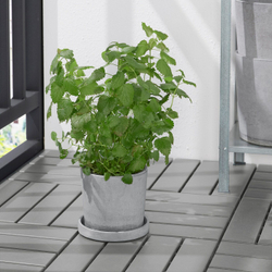 IKEA BOYSENBÄR  (ИКЕА БОЙСЕНБÄР)  -  Основание, внутреннее/наружное светло-серое, 15 см