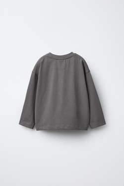 ZARA ФУТБОЛКА HEAVYWEIGHT С ВЫШИВКОЙ, ЖЕМЧУЖНО-СЕРЫЙ