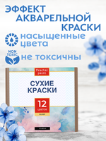 Набор сухих красок 12 цветов «Silver»