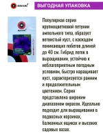 Петуния грандифлора Суперкаскад F1 Блю