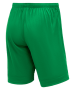 Шорты игровые DIVISION PerFormDRY Union Shorts, зеленый