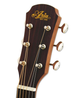 ARIA ARIA-101 Matte Black