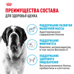 Royal Canin Giant Junior Джайнт Юниор Корм сухой для щенков очень крупных пород возраст от 8 до 18/24 месяцев 3,5кг