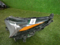DSCN2910.jpg