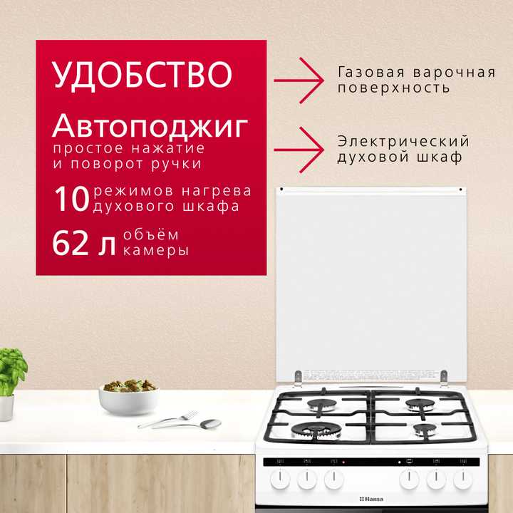 Комбинированная плита Hansa FCMW580297