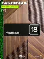 Таблички с номером аудитории "Аудитория №18", для офиса, 30 х 10 см, серия COSMO 3010, черная, Айдентика Технолоджи