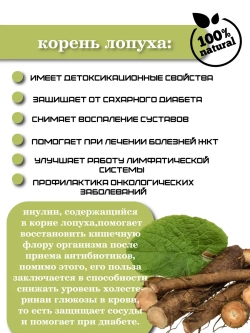 Корень лопуха
