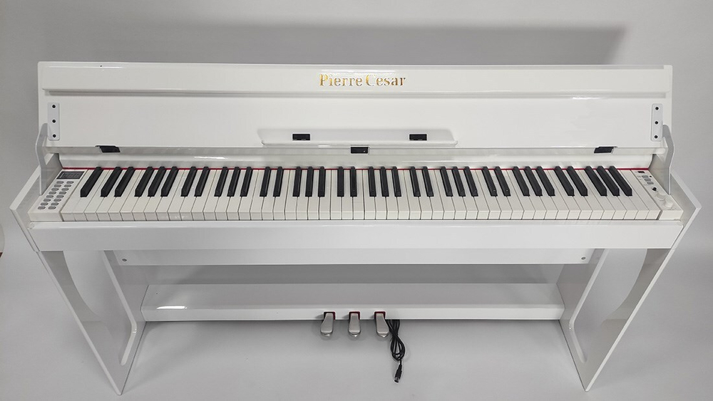 Pierre Cesar XY-2000-H