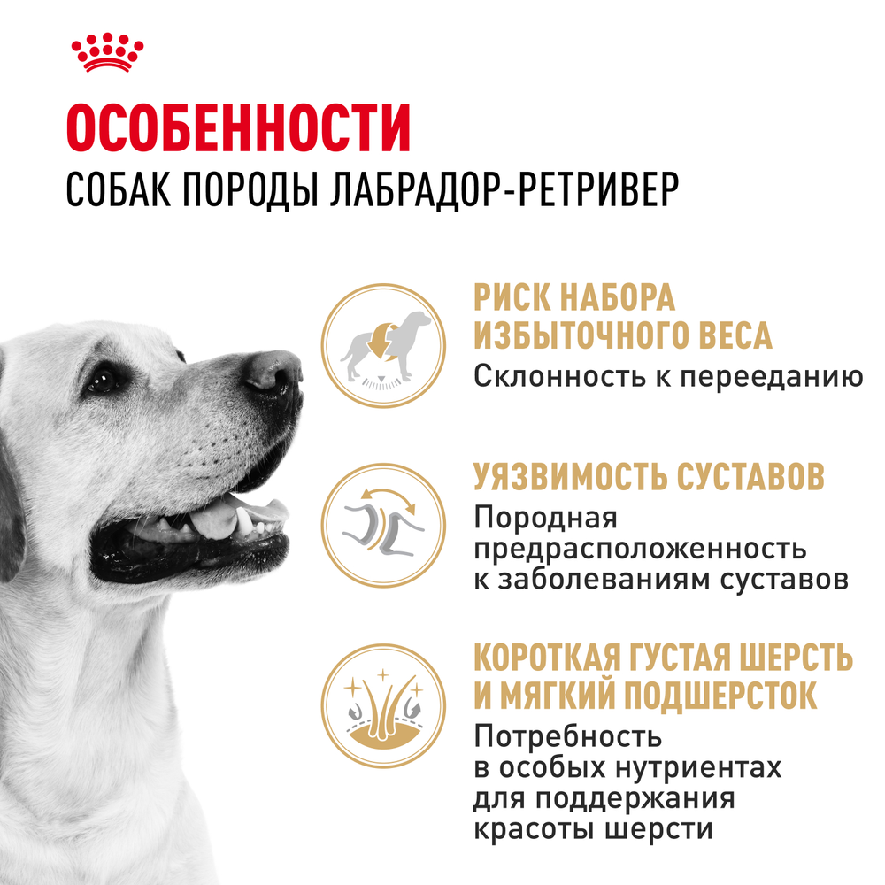 Royal Canin Labrador Retriever Лабрадор Ретривер Эдалт Корм сухой для взрослых собак породы Лабрадор Ретривер в возрасте от 15 месяцев 3кг
