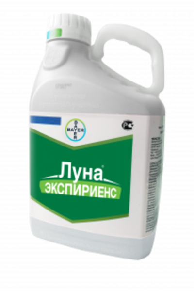 Луна Экспириенс,КС