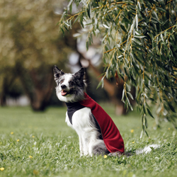 Флисовая кофта DOGLEA СПОРТ КОМФОРТ