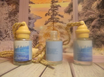 Автопарфюм Pour Homme 12ml