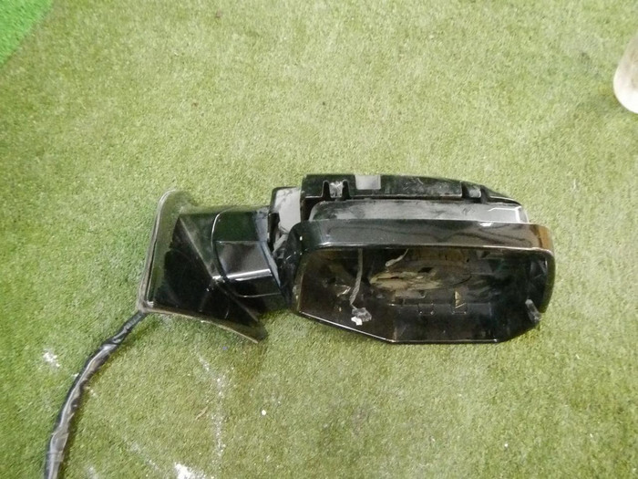 DSCN1979.jpg