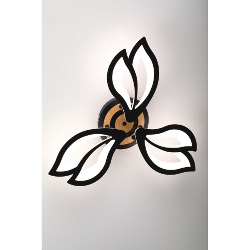 Светильник потолочный светодиодный Rivoli Lana 6195-703 LED 3000-6250К 60 Вт с пультом | Rivoli
