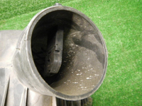 DSCN9436.JPG