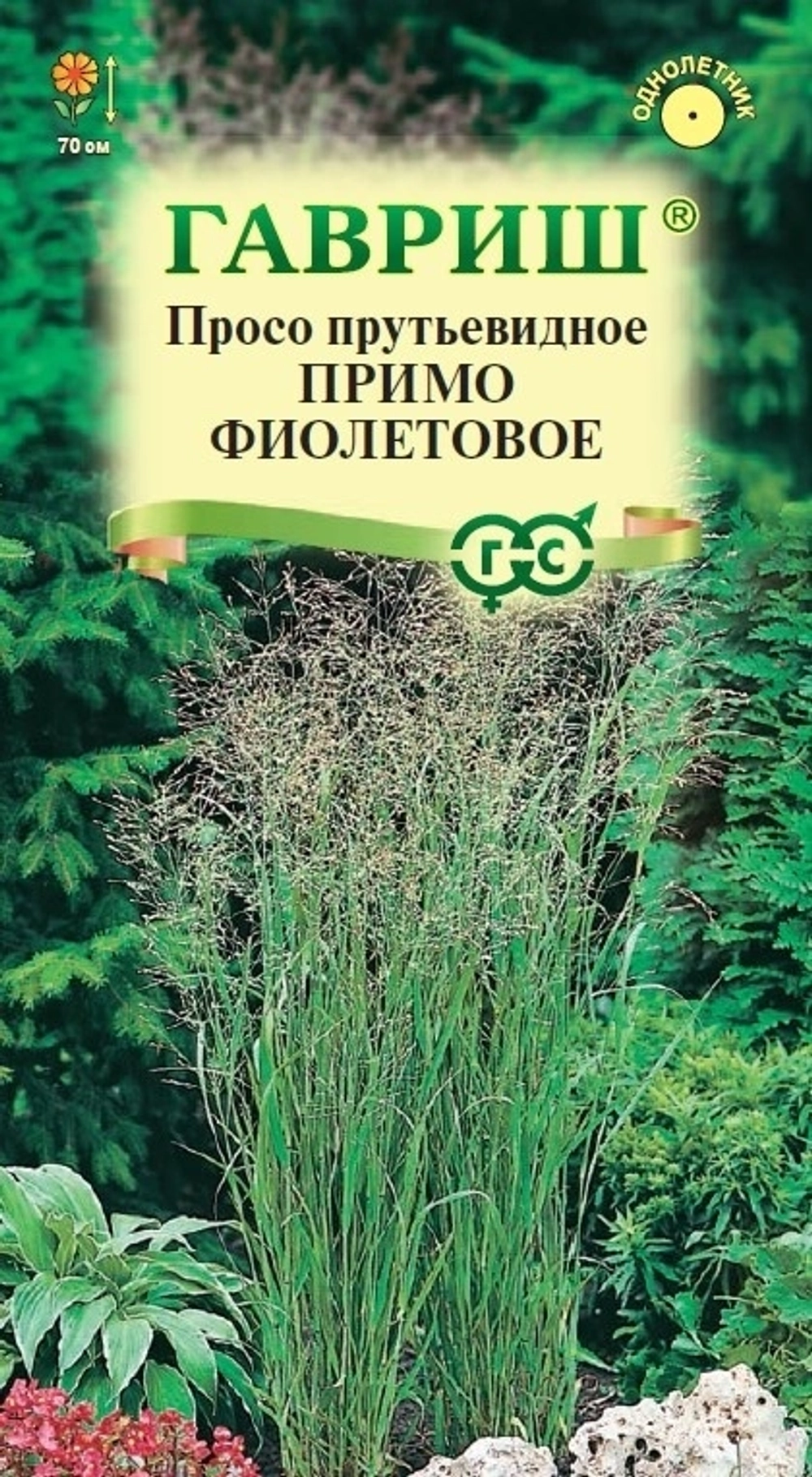 Просо Примо фиолетовое (декоративное) 0,5г (Гавриш)