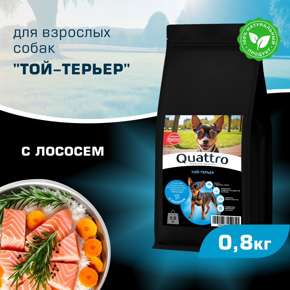 Корм сухой для взрослых собак породы Той-терьер, с лососем, 800 гр, QUATTRO
