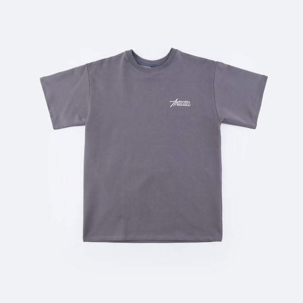 Футболка Anteater Phat Tee 480 (grey) артикул: - купить в магазине Дайс