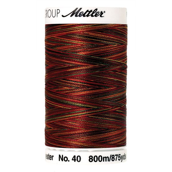 Нить вышивальная Mettler Poly Sheen Multi #40 (800 м), 5 кат. | цв. 9938