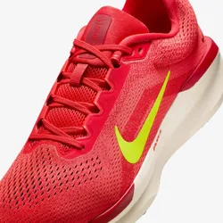 Кроссовки мужские NIKE NIKE AIR WINFLO 11