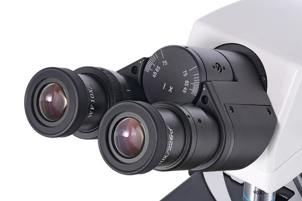 Микроскоп Levenhuk MED 40B, бинокулярный