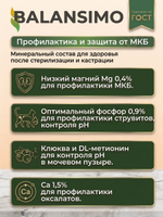 Сухой корм холистик для стерилизованных кошек и кастрированных котов Balansimo Holistic Sterilized Adult Cat индейка с ягодами 2 кг
