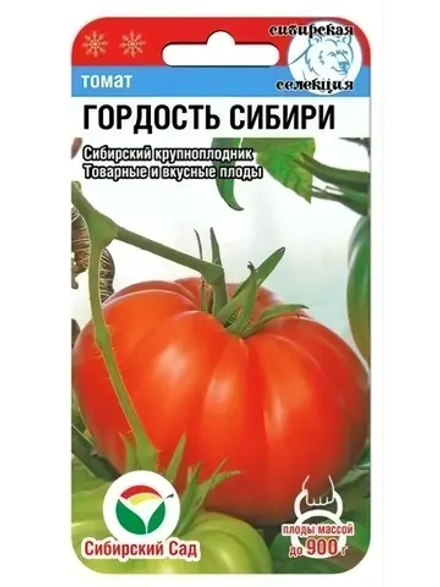 Томат Гордость Сибири /1 уп. 20 семян/