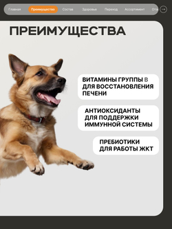 Корм сухой для взрослых собак средних пород, премиум полнорационный комплекс, забота о здоровье печени, с индейкой, 2,5 кг, QUATTRO