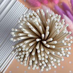 Палочки бумажные для Cake pops (белые, 15 см, 100 шт)