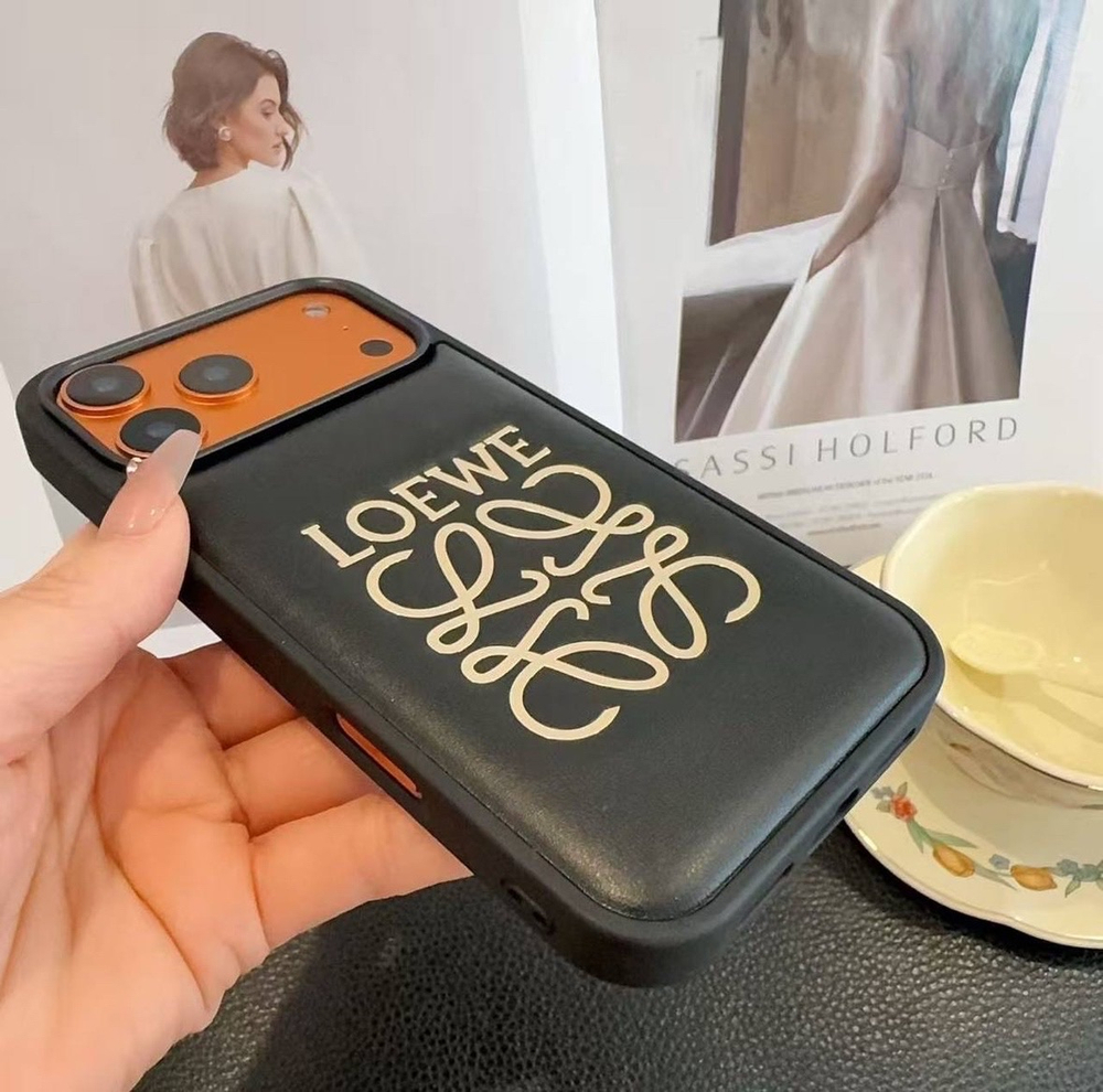 Чехол на iPhone 17 Pro Max Loewe