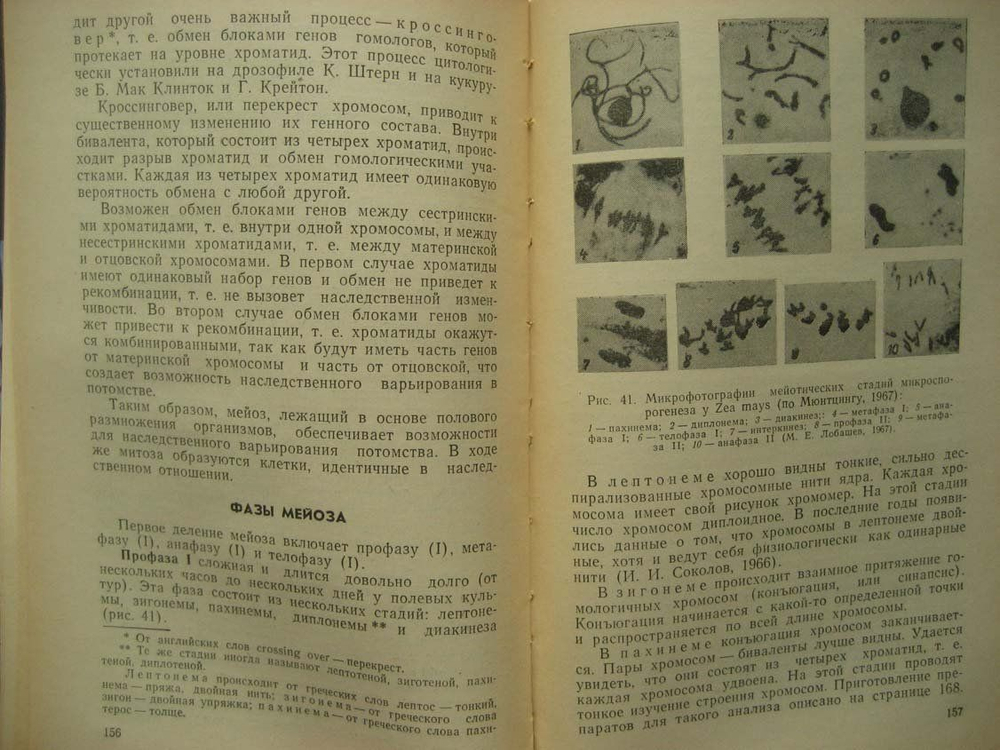 Паушева З.П. Практикум по цитологии растений. 1988г.